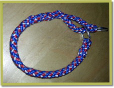 Met bijpassende rood wit blauwe halsband